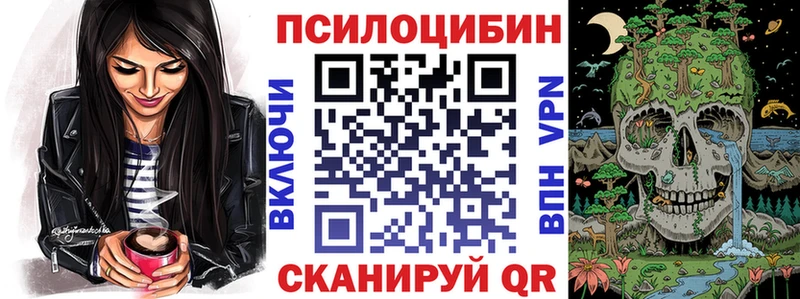 Галлюциногенные грибы Psilocybine cubensis  Кемерово 