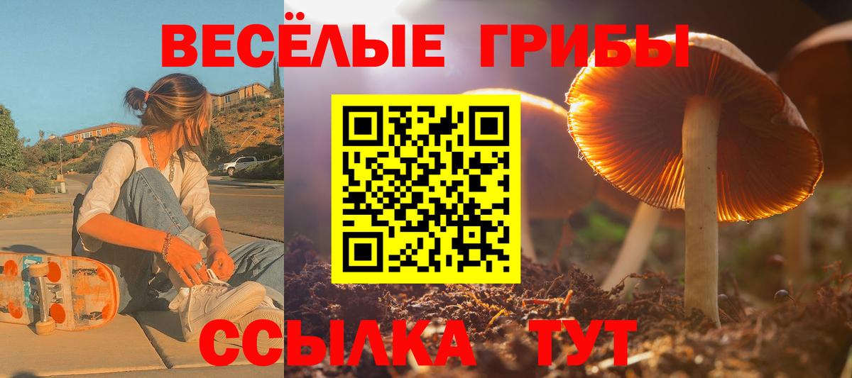 Галлюциногенные грибы ЛСД  Вход с VPN  Кемерово 