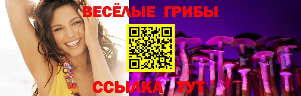 Alpha PVP СК кристаллы  Гашиш  Кемерово  МДМА  ЭКСТАЗИ  Мефедрон   Вход с VPN  Гашиш  Конопля  Вейп ТГК  COCAIN  КОКАИН 