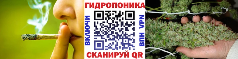 цена   Кемерово  Шишки марихуана SATIVA & INDICA 